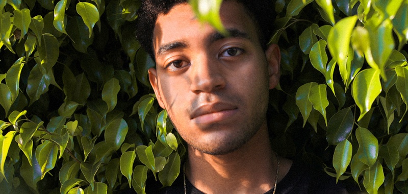 Unusual Demont Portrait